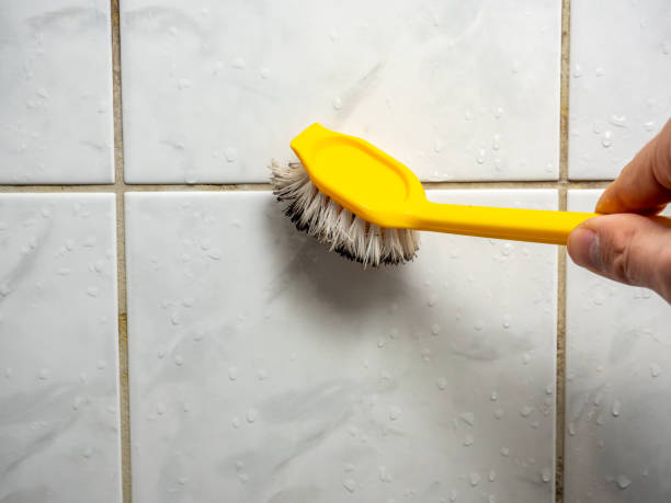 Best Residential Mold Remediation in North Decatur, GA