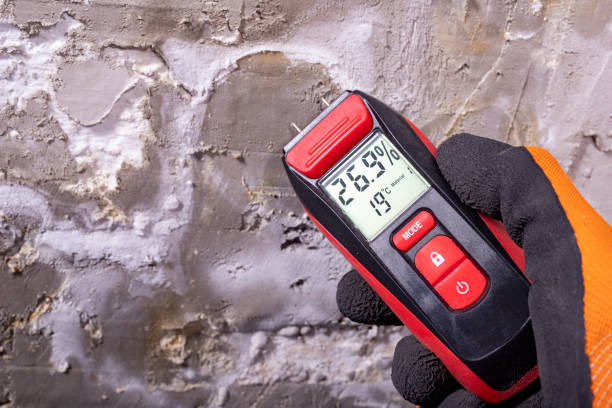 Trusted North Decatur, GA Mold Remediation Experts